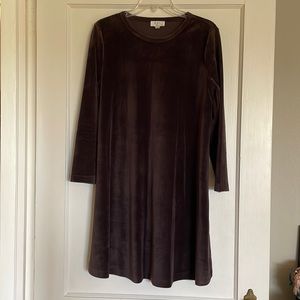 LOFT Outlet Plum Velvet Dress